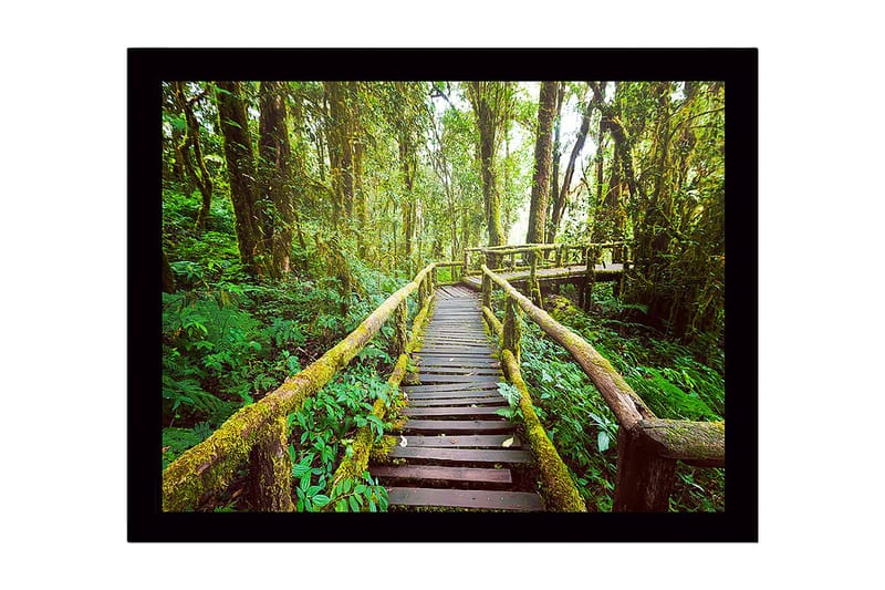 Innrammet lerretsbilde i tre - 41x56 cm - Frodig skogssti med trebroer, Grønn / Brun / Gulgrønn