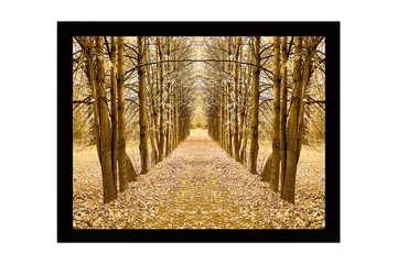 Innrammet lerretsbilde i tre - 41x56 cm - Gyllen allé med trær i høstfarger - Gull / Brun / Beige - Interiør - Maleri & posters - Lerretsbilder