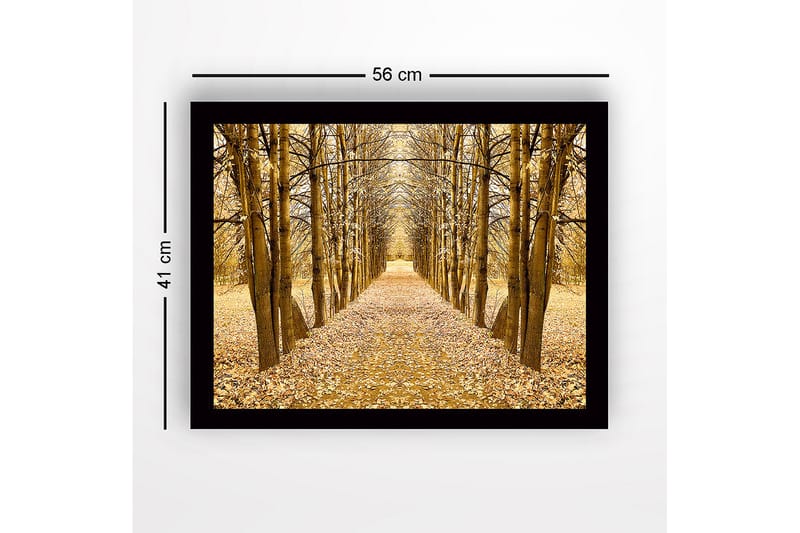 Innrammet lerretsbilde i tre - 41x56 cm - Gyllen allé med trær i høstfarger - Gull / Brun / Beige - Interiør - Maleri & posters - Lerretsbilder