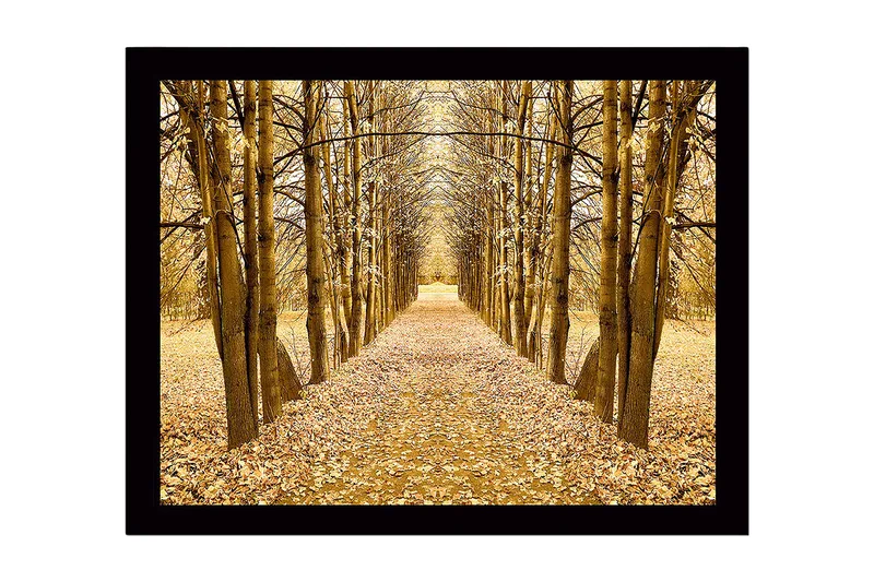 Innrammet lerretsbilde i tre - 41x56 cm - Gyllen allé med trær i høstfarger, Gull / Brun / Beige