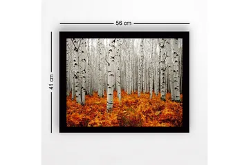 Innrammet lerretsbilde i tre - 41x56 cm - Høstskog med bjørker og gyldne bregner - Hvit / Oransje - Interiør - Maleri & posters - Lerretsbilder