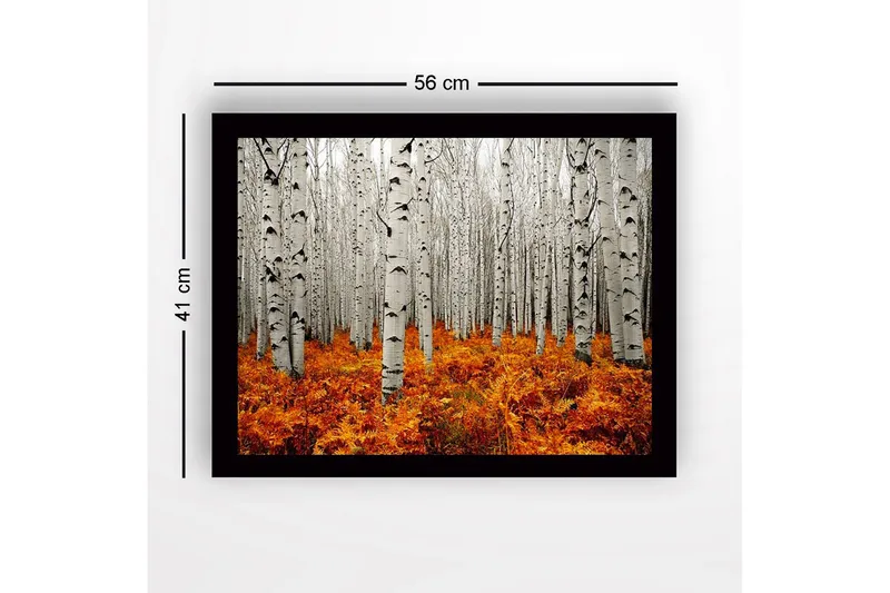 Innrammet lerretsbilde i tre - 41x56 cm - Høstskog med bjørker og gyldne bregner - Hvit / Oransje - Interiør - Maleri & posters - Lerretsbilder