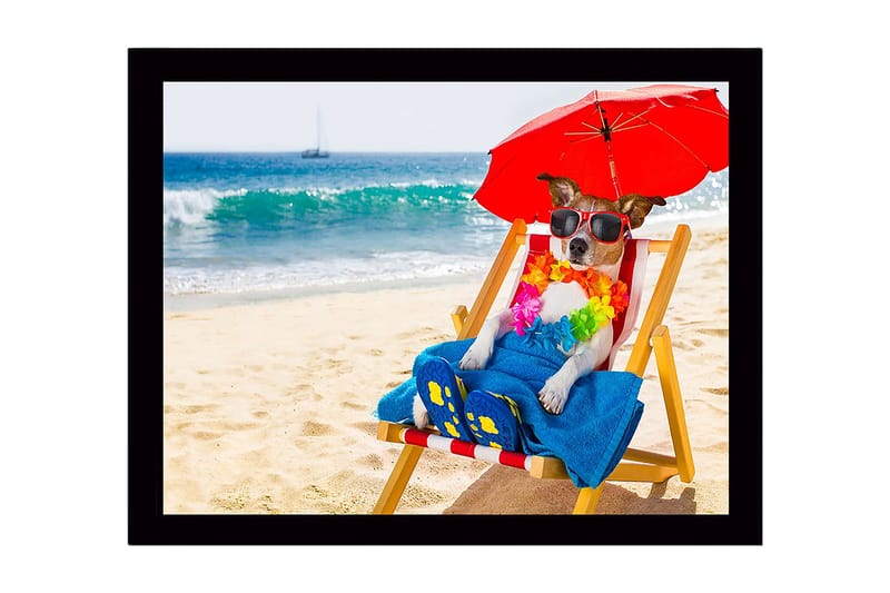 Innrammet lerretsbilde i tre - 41x56 cm - Hund slapper av på stranden i en solstol med solbriller og parasoll, Rød / Blå / Gul