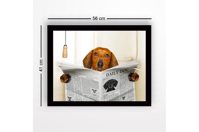 Innrammet lerretsbilde i tre - 41x56 cm - Hund som leser avisen DAILY DOG - Brun / Svart / Hvit - Interiør - Maleri & posters - Lerretsbilder