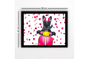 Innrammet lerretsbilde i tre - 41x56 cm - Hund på sparkesykkel med rosebladsløyfe - Rosa / Svart / Gul - Interiør - Maleri & posters - Lerretsbilder
