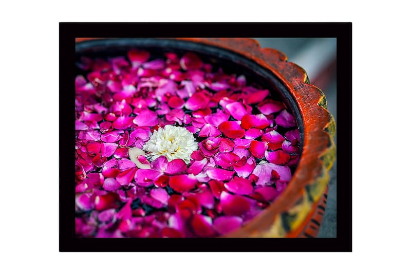Innrammet lerretsbilde i tre - 41x56 cm - Hvit blomst omgitt av rosa roseblader i en bolle, Rosa / Hvit