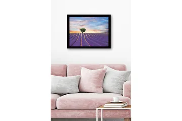 Innrammet lerretsbilde i tre - 41x56 cm - Lavendelfelt med en ensom trekrone i horisonten - Lilla / Grønn / Beige - Interiør - Maleri & posters - Lerretsbilder