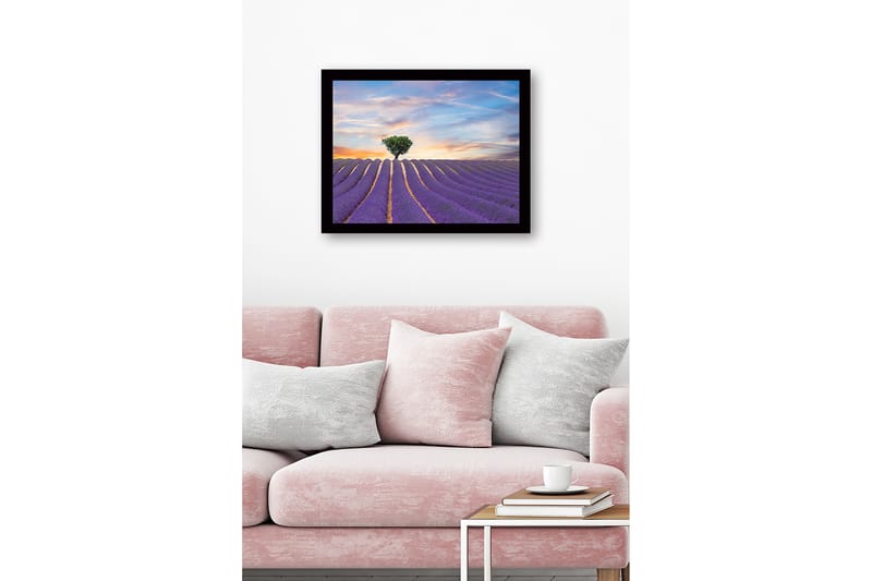 Innrammet lerretsbilde i tre - 41x56 cm - Lavendelfelt med en ensom trekrone i horisonten - Lilla / Grønn / Beige - Interiør - Maleri & posters - Lerretsbilder