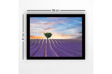 Innrammet lerretsbilde i tre - 41x56 cm - Lavendelfelt med en ensom trekrone i horisonten - Lilla / Grønn / Beige - Interiør - Maleri & posters - Lerretsbilder