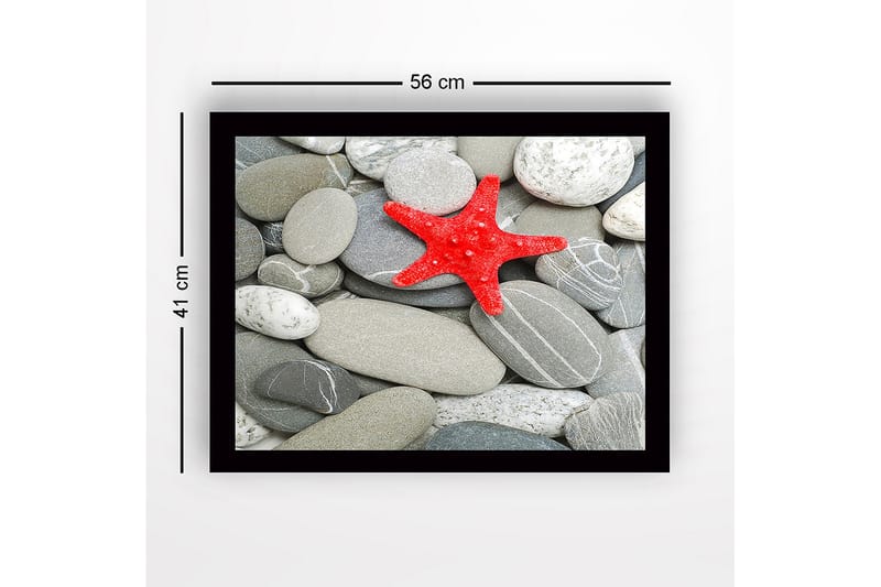 Innrammet lerretsbilde i tre - 41x56 cm - Rød sjøstjerne på en samling grå steiner - Grå / Rød - Interiør - Maleri & posters - Lerretsbilder