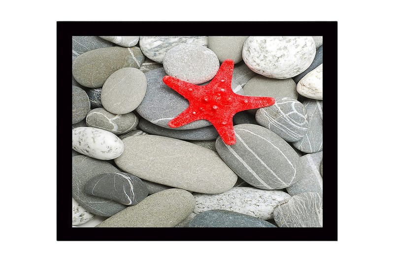Innrammet lerretsbilde i tre - 41x56 cm - Rød sjøstjerne på en samling grå steiner, Grå / Rød