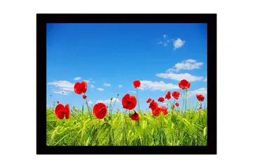 Innrammet lerretsbilde i tre - 41x56 cm - Røde valmuer i en grønn eng under en klar blå himmel - Rød / Grønn / Blå - Interiør - Maleri & posters - Lerretsbilder