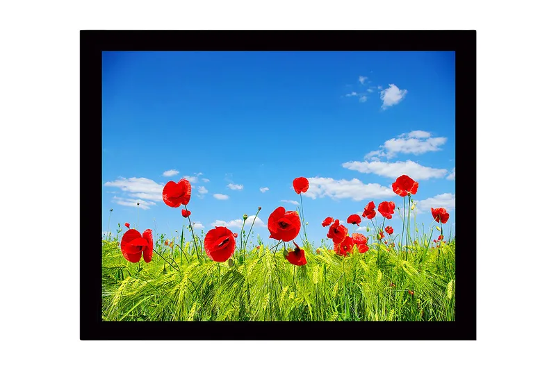 Innrammet lerretsbilde i tre - 41x56 cm - Røde valmuer i en grønn eng under en klar blå himmel, Rød / Grønn / Blå