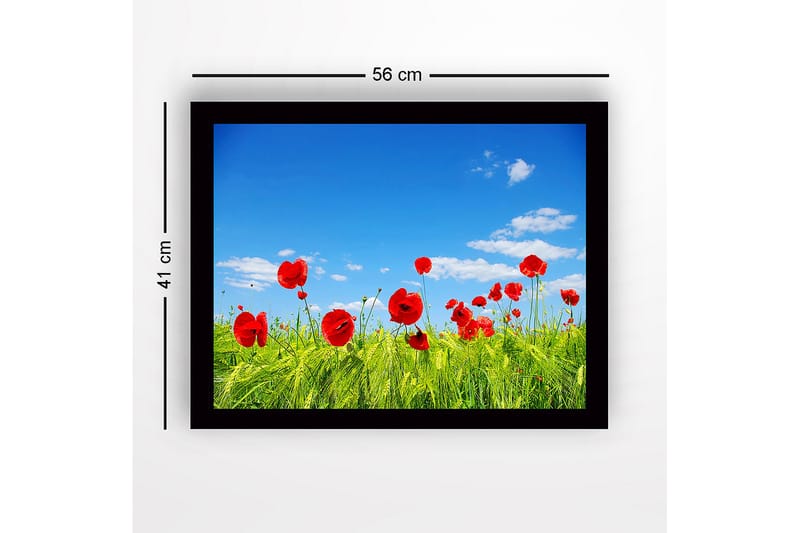 Innrammet lerretsbilde i tre - 41x56 cm - Røde valmuer i en grønn eng under en klar blå himmel - Rød / Grønn / Blå - Interiør - Maleri & posters - Lerretsbilder