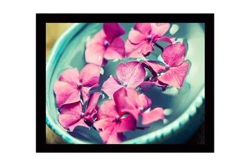 Innrammet lerretsbilde i tre - 41x56 cm - Rosa blomster som flyter i en bolle med vann - Rosa / Turkis / Grønn - Interiør - Maleri & posters - Lerretsbilder