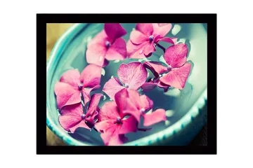 Innrammet lerretsbilde i tre - 41x56 cm - Rosa blomster som flyter i en bolle med vann - Rosa / Turkis / Grønn - Interiør - Maleri & posters - Lerretsbilder