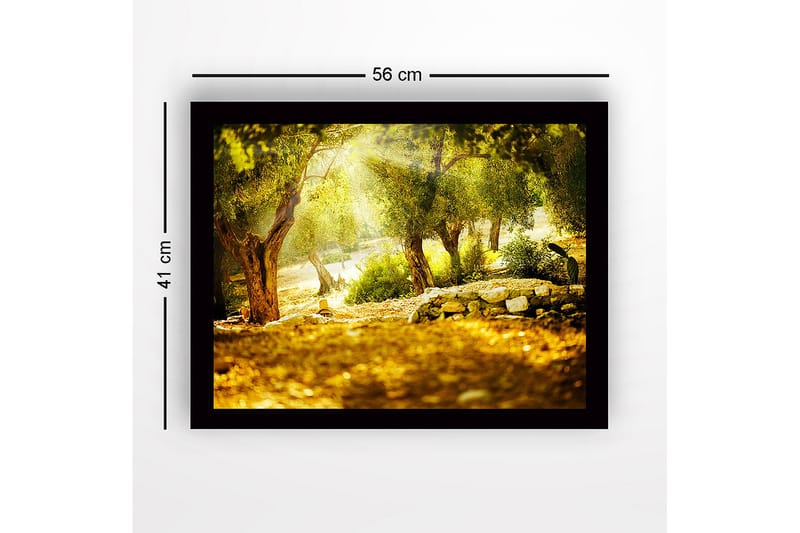 Innrammet lerretsbilde i tre - 41x56 cm - Solbelyst skog med oliventrær - Grønn / Gull / Brun - Interiør - Maleri & posters - Lerretsbilder