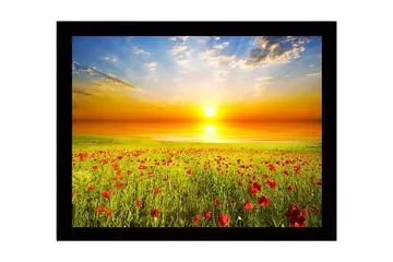 Innrammet lerretsbilde i tre - 41x56 cm - Solnedgang over en blomstrende eng med valmuer - Gul / Grønn / Rød - Interiør - Maleri & posters - Lerretsbilder