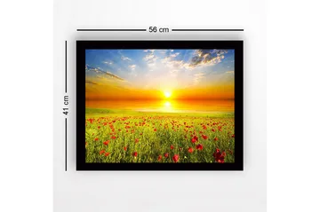 Innrammet lerretsbilde i tre - 41x56 cm - Solnedgang over en blomstrende eng med valmuer - Gul / Grønn / Rød - Interiør - Maleri & posters - Lerretsbilder