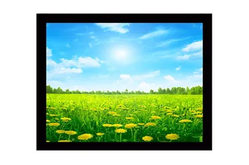 Innrammet lerretsbilde i tre - 41x56 cm - Solrik eng med blomstrende løvetann - Grønn / Gul / Blå - Interiør - Maleri & posters - Lerretsbilder