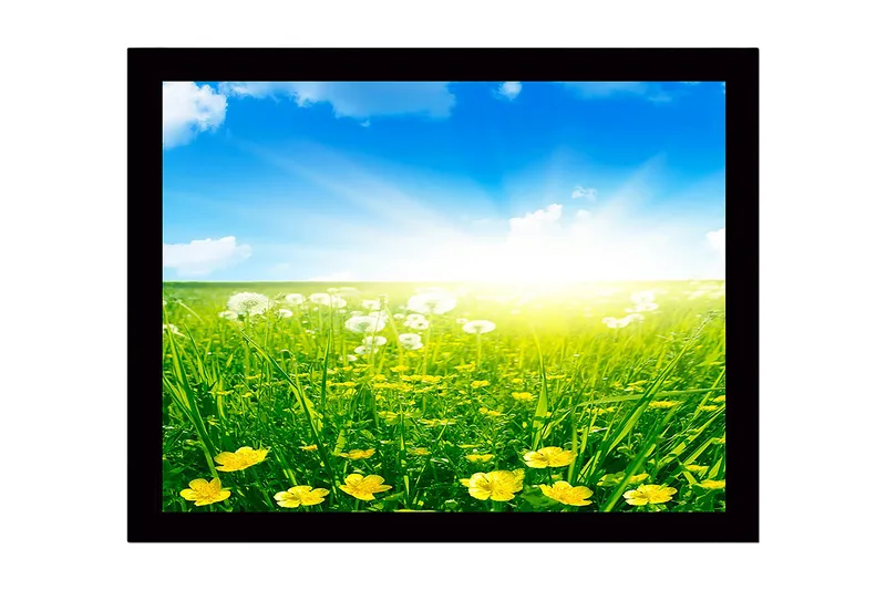 Innrammet lerretsbilde i tre - 41x56 cm - Solrik eng med gule blomster og grønt gress, Gul / Grønn / Blå