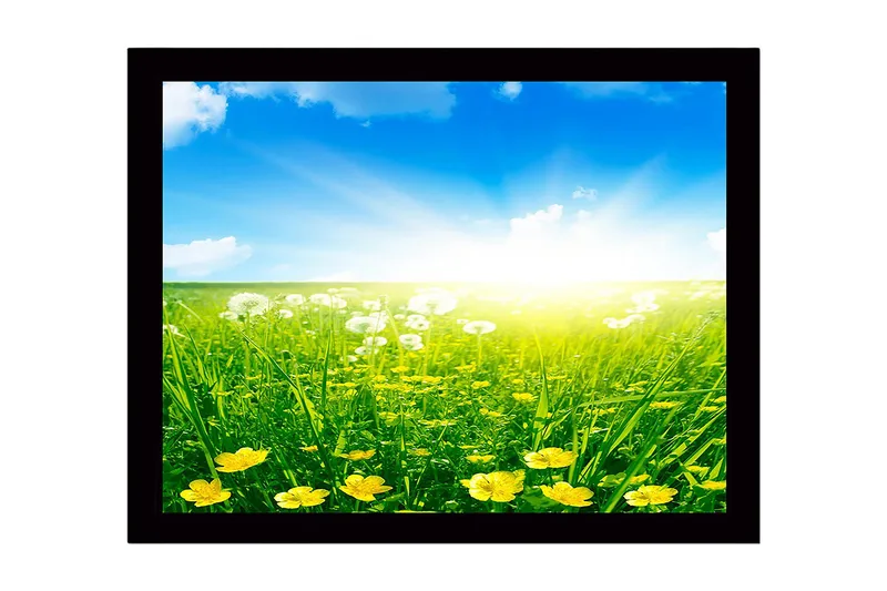 Innrammet lerretsbilde i tre - 41x56 cm - Solrik eng med gule blomster og grønt gress, Gul / Grønn / Blå