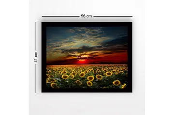 Innrammet lerretsbilde i tre - 41x56 cm - Solsikkefelt under en fargerik solnedgang - Gul / Oransje / Blå - Interiør - Maleri & posters - Lerretsbilder