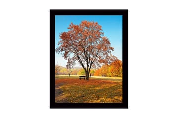 Innrammet lerretsbilde i tre - 41x56 cm - Statlig høsttre med fargerike blader - Oransje / Gul / Brun - Interiør - Maleri & posters - Lerretsbilder