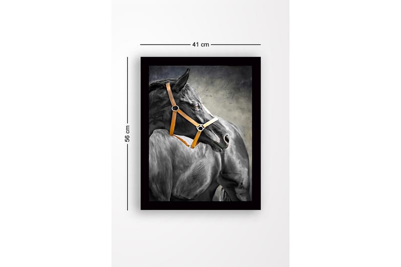 Innrammet lerretsbilde i tre - 41x56 cm - Svart hest med oransje grime i profil - Svart / Oransje / Grå - Interiør - Maleri & posters - Lerretsbilder