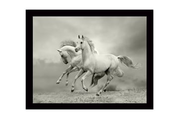Innrammet lerretsbilde i tre - 41x56 cm - To hvite hester galopperer fremover i en dramatisk setting - Hvit / Grå - Interiør - Maleri & posters - Lerretsbilder