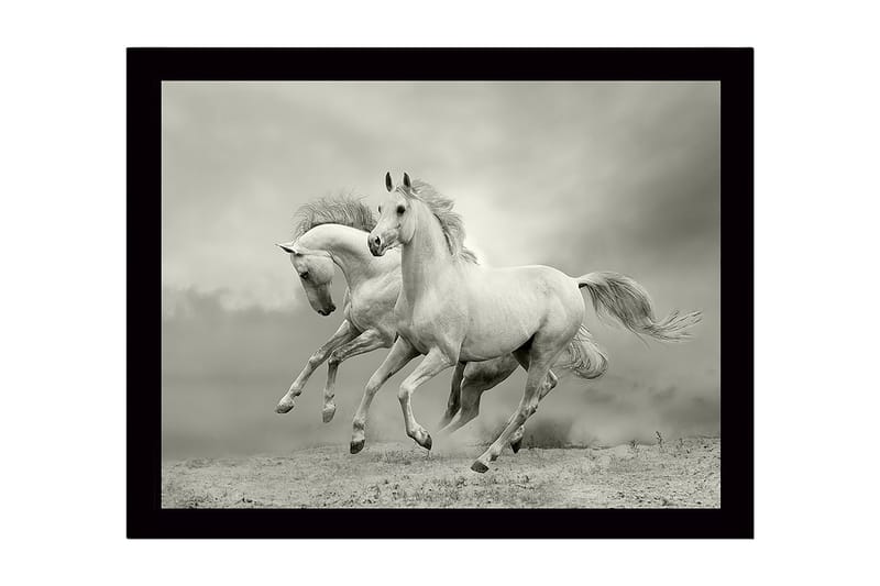 Innrammet lerretsbilde i tre - 41x56 cm - To hvite hester galopperer fremover i en dramatisk setting, Hvit / Grå