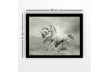 Innrammet lerretsbilde i tre - 41x56 cm - To hvite hester galopperer fremover i en dramatisk setting - Hvit / Grå - Interiør - Maleri & posters - Lerretsbilder