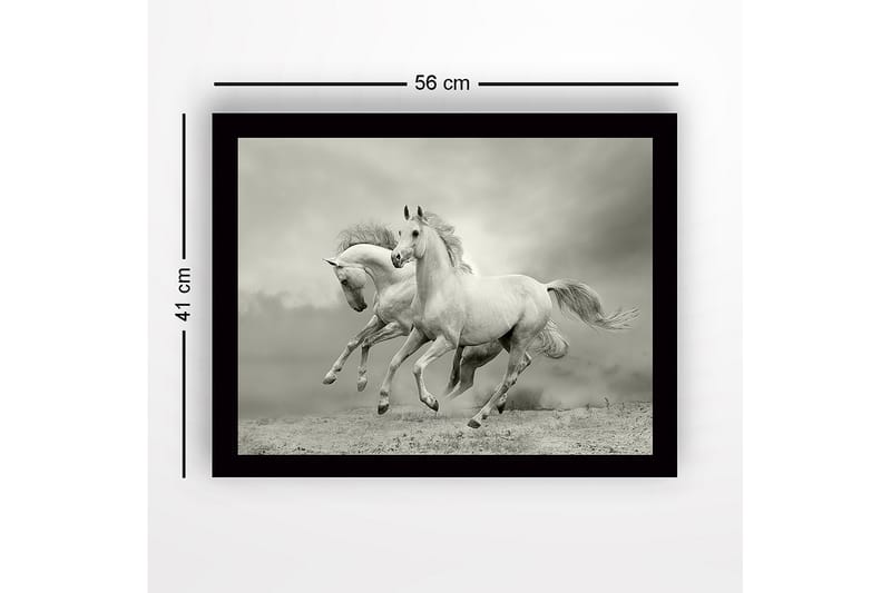 Innrammet lerretsbilde i tre - 41x56 cm - To hvite hester galopperer fremover i en dramatisk setting - Hvit / Grå - Interiør - Maleri & posters - Lerretsbilder