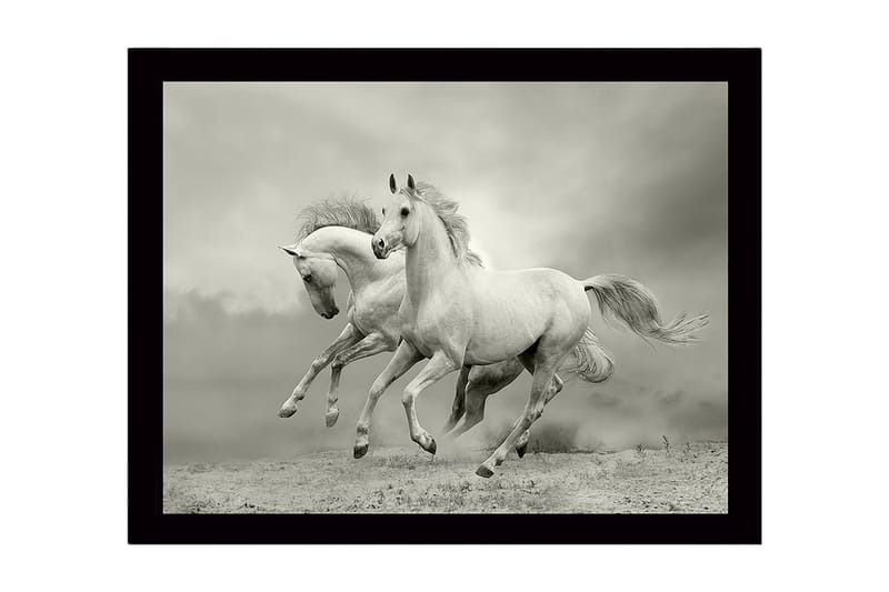Innrammet lerretsbilde i tre - 41x56 cm - To hvite hester galopperer fremover i en dramatisk setting, Hvit / Grå