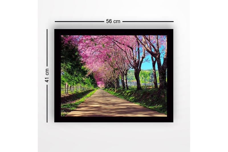 Innrammet lerretsbilde i tre - 41x56 cm - Vakker allé med blomstrende kirsebærtrær i rosa nyanser - Rosa / Grønn / Brun - Interiør - Maleri & posters - Lerretsbilder
