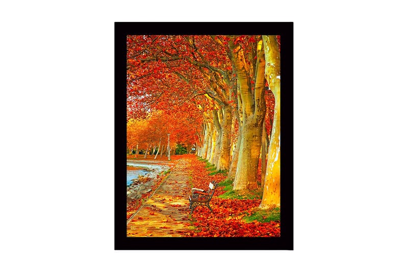 Innrammet lerretsbilde i tre - 41x56 cm - Vakker allé med høstfargede trær og en benk langs en tursti, Oransje / Gull / Grønn