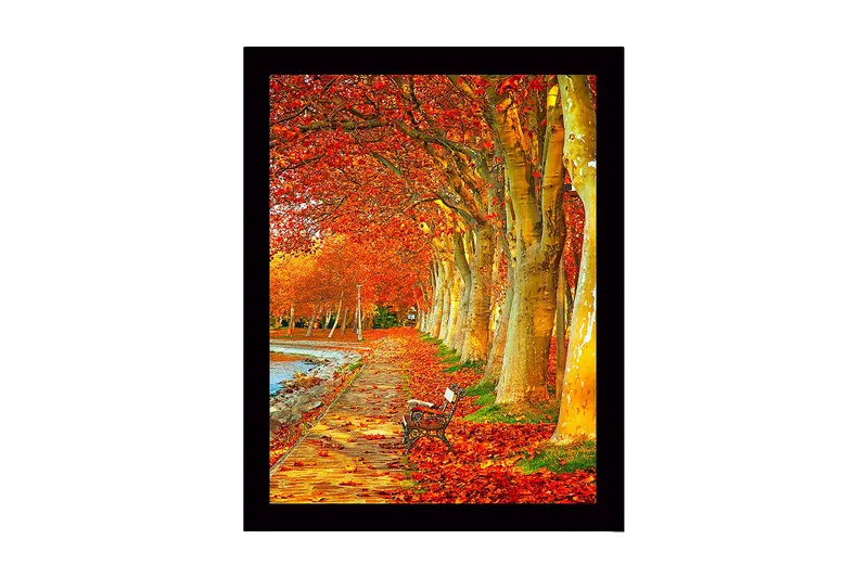 Innrammet lerretsbilde i tre - 41x56 cm - Vakker allé med høstfargede trær og en benk langs en tursti, Oransje / Gull / Grønn