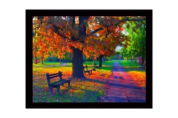 Innrammet lerretsbilde i tre - 41x56 cm - Vakker høstscene med fargerike trær og benker i en park - Oransje / Grønn / Brun - Interiør - Maleri & posters - Lerretsbilder