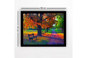 Innrammet lerretsbilde i tre - 41x56 cm - Vakker høstscene med fargerike trær og benker i en park - Oransje / Grønn / Brun - Interiør - Maleri & posters - Lerretsbilder