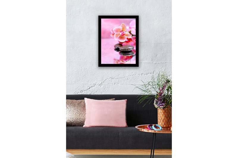 Innrammet lerretsbilde i tre - 41x56 cm - Vakker orkide med steiner og vanndråper - Rosa / Svart - Interiør - Maleri & posters - Lerretsbilder