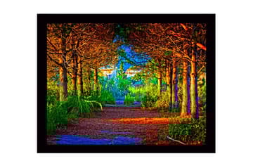 Innrammet lerretsbilde i tre - 41x56 cm - Vakker skogssti omgitt av trær i gyldne og grønne nyanser - Gull / Grønn / Brun - Interiør - Maleri & posters - Lerretsbilder