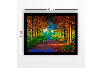 Innrammet lerretsbilde i tre - 41x56 cm - Vakker skogssti omgitt av trær i gyldne og grønne nyanser - Gull / Grønn / Brun - Interiør - Maleri & posters - Lerretsbilder