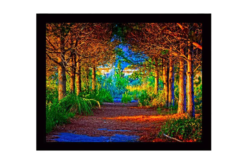 Innrammet lerretsbilde i tre - 41x56 cm - Vakker skogssti omgitt av trær i gyldne og grønne nyanser, Gull / Grønn / Brun