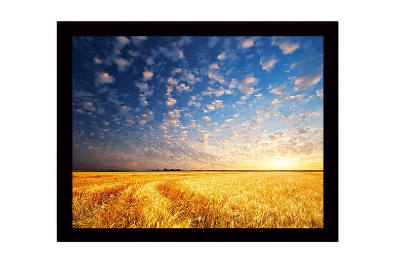 Innrammet lerretsbilde i tre - 41x56 cm - Vakker solnedgang over et gyllent hvetefelt, Gull / Blå / Hvit