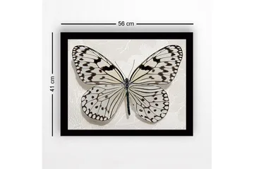 Innrammet lerretsbilde i tre - 41x56 cm - Vakker sommerfugl med detaljerte mønstre i svart-hvitt - Hvit / Svart - Interiør - Maleri & posters - Lerretsbilder