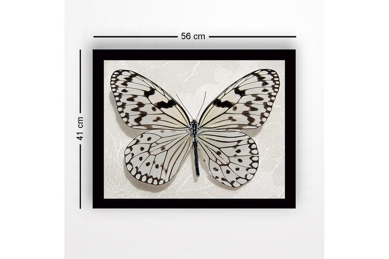 Innrammet lerretsbilde i tre - 41x56 cm - Vakker sommerfugl med detaljerte mønstre i svart-hvitt - Hvit / Svart - Interiør - Maleri & posters - Lerretsbilder