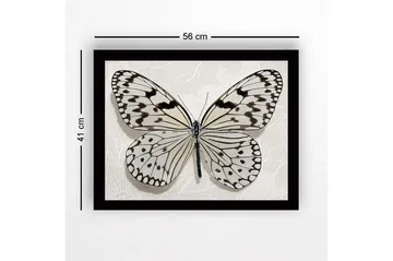 Innrammet lerretsbilde i tre - 41x56 cm - Vakker sommerfugl med detaljerte mønstre i svart-hvitt - Hvit / Svart - Interiør - Maleri & posters - Lerretsbilder