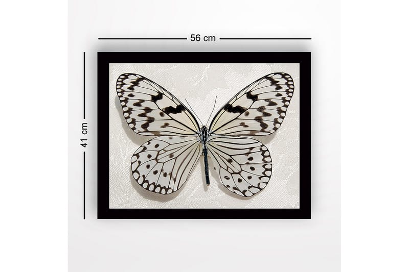 Innrammet lerretsbilde i tre - 41x56 cm - Vakker sommerfugl med detaljerte mønstre i svart-hvitt - Hvit / Svart - Interiør - Maleri & posters - Lerretsbilder