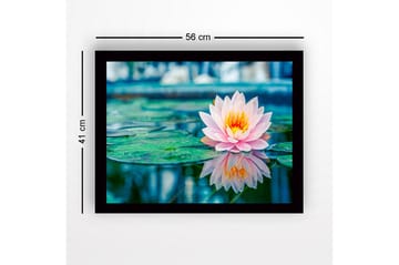 Innrammet lerretsbilde i tre - 41x56 cm - Vakker vannlilje som flyter på en speillignende overflate - Rosa / Grønn / Gul - Interiør - Maleri & posters - Lerretsbilder