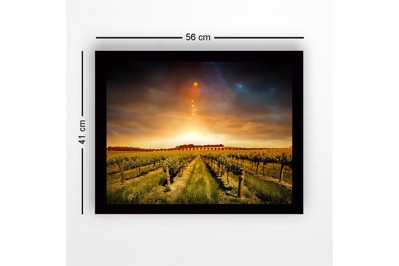 Innrammet lerretsbilde i tre - 41x56 cm - Vakker vingård under en gyllen solnedgang - Gull / Grønn / Brun - Interiør - Maleri & posters - Lerretsbilder